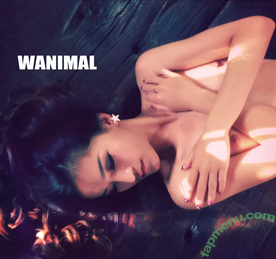 Wanimal Models nude photo #0483 (wanimal912)