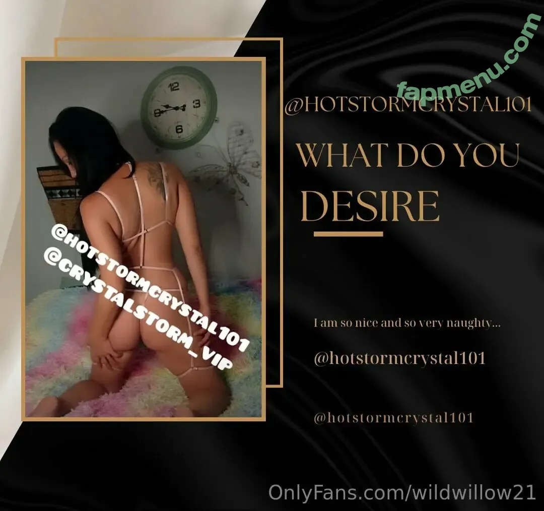 wildwillow21 nude photo #0003 (wildwillow21)