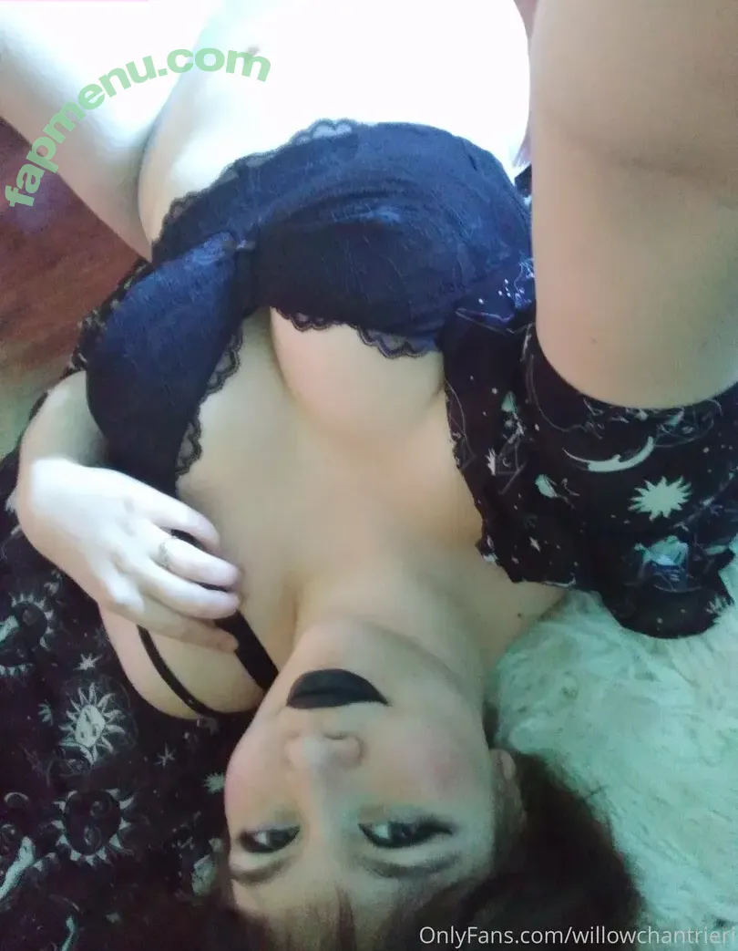 willowchantrieri nude photo #0001 (willowchantrieri)