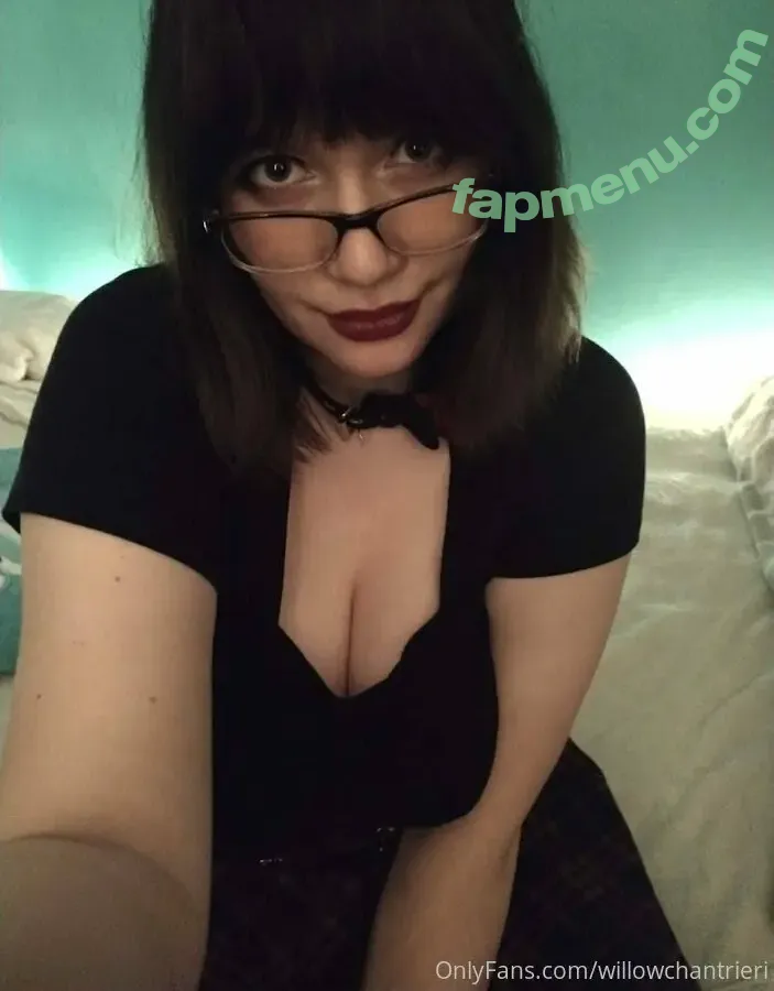 willowchantrieri nude photo #0012 (willowchantrieri)