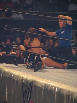 WWE Michelle McCool / mimicalacool nude photo #0008