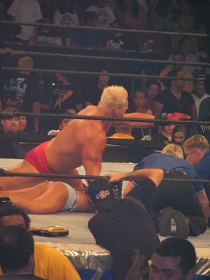 WWE Michelle McCool / mimicalacool nude photo #0010