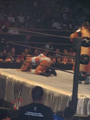 WWE Michelle McCool / mimicalacool nude photo #0023