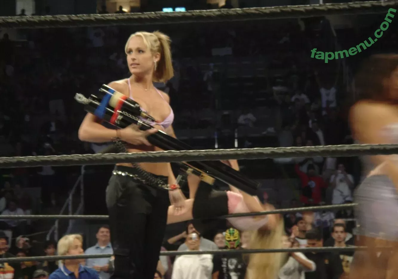 WWE Michelle McCool nude photo #0001 (mimicalacool)