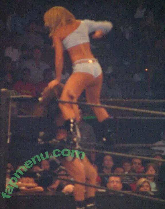 WWE Michelle McCool nude photo #0009 (mimicalacool)