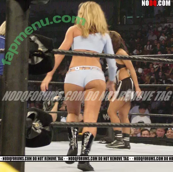 WWE Michelle McCool nude photo #0018 (mimicalacool)