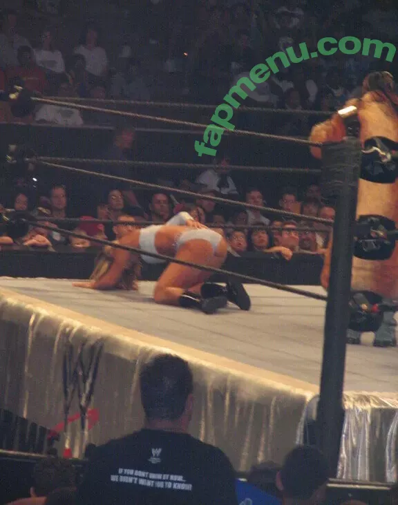 WWE Michelle McCool nude photo #0023 (mimicalacool)