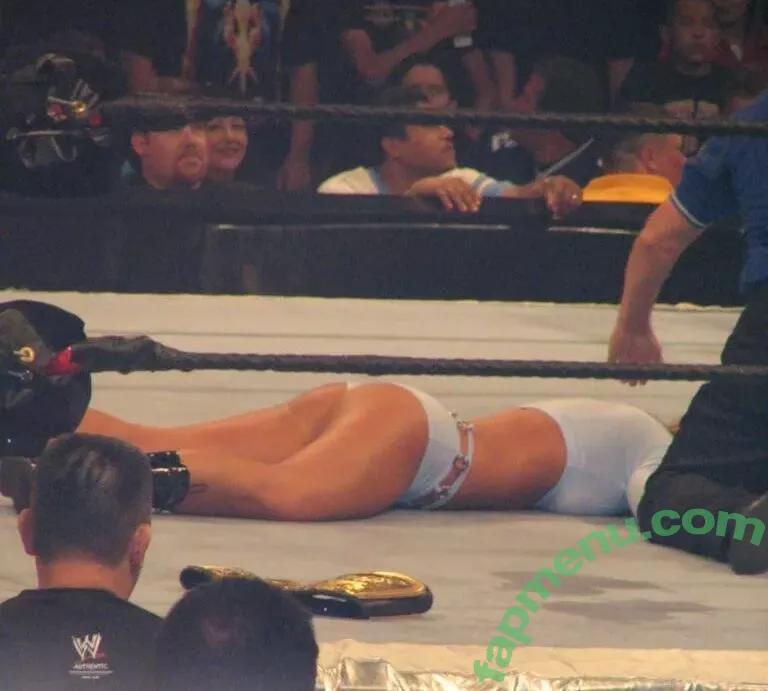 WWE Michelle McCool nude photo #0024 (mimicalacool)