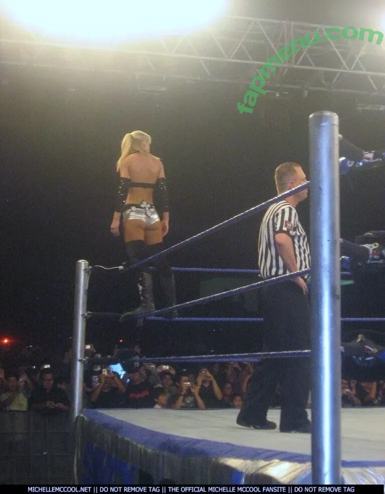 WWE Michelle McCool nude photo #0047 (mimicalacool)