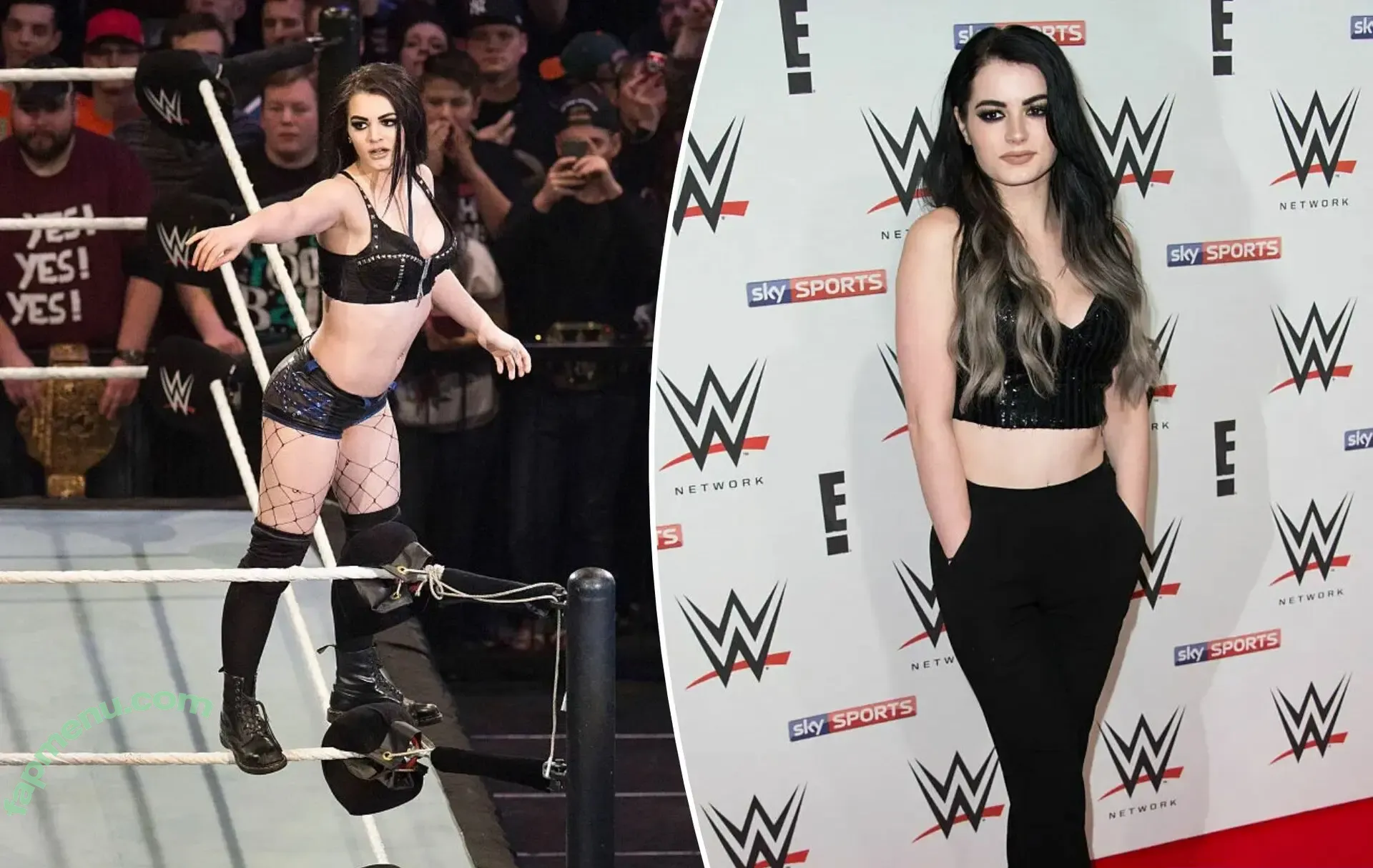 WWE Paige nude photo #0045 (WWE Paige)
