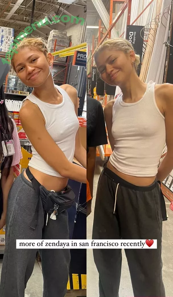 Zendaya nude photo #2971 (linda.voilet)