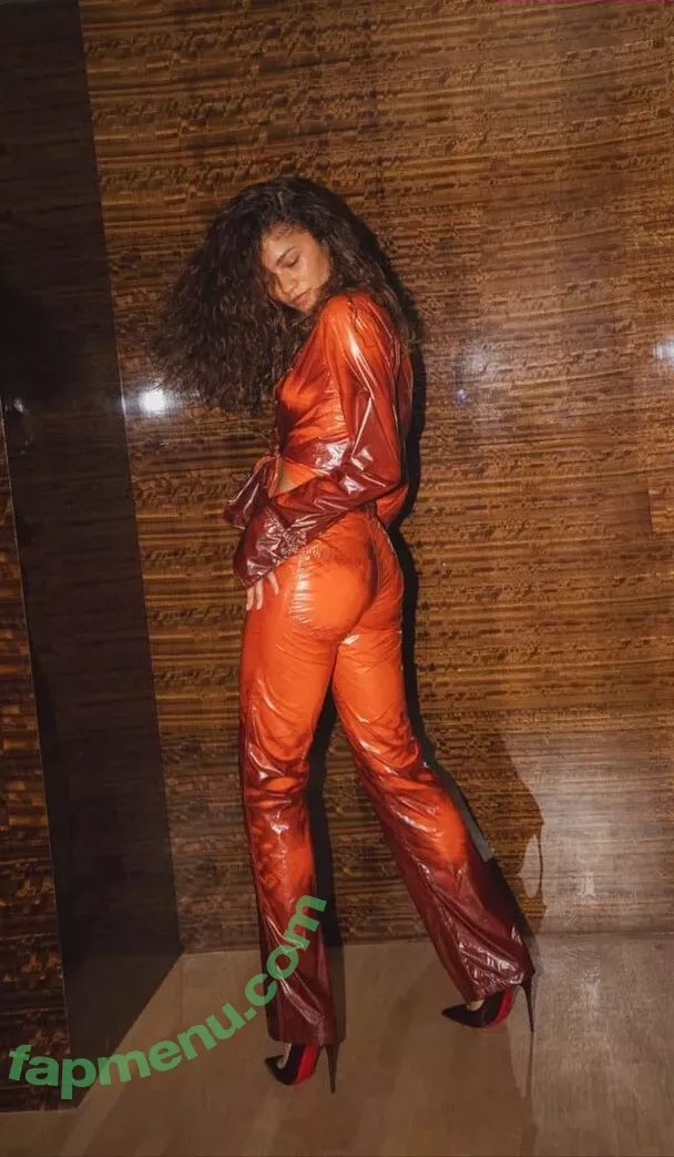 Zendaya nude photo #2979 (linda.voilet)