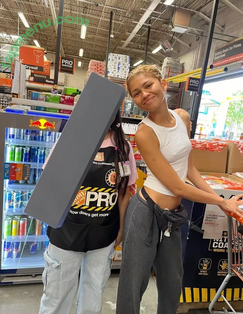 Zendaya nude photo #3074 (linda.voilet)