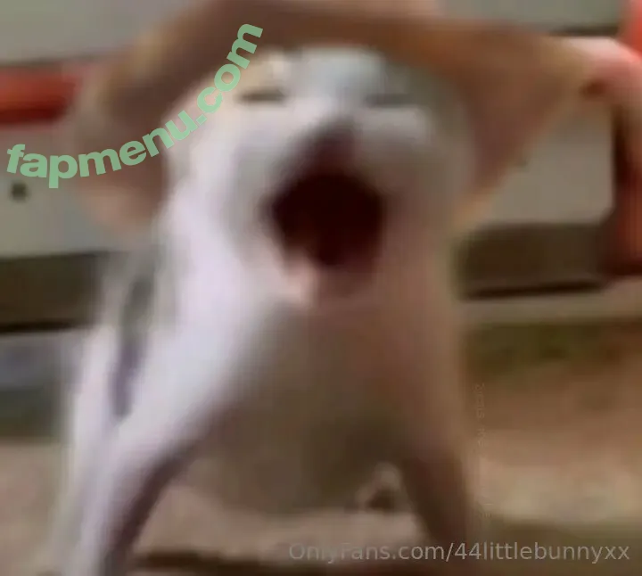 44littlebunnyxx nude photo #0010 (44littlebunnyxx)