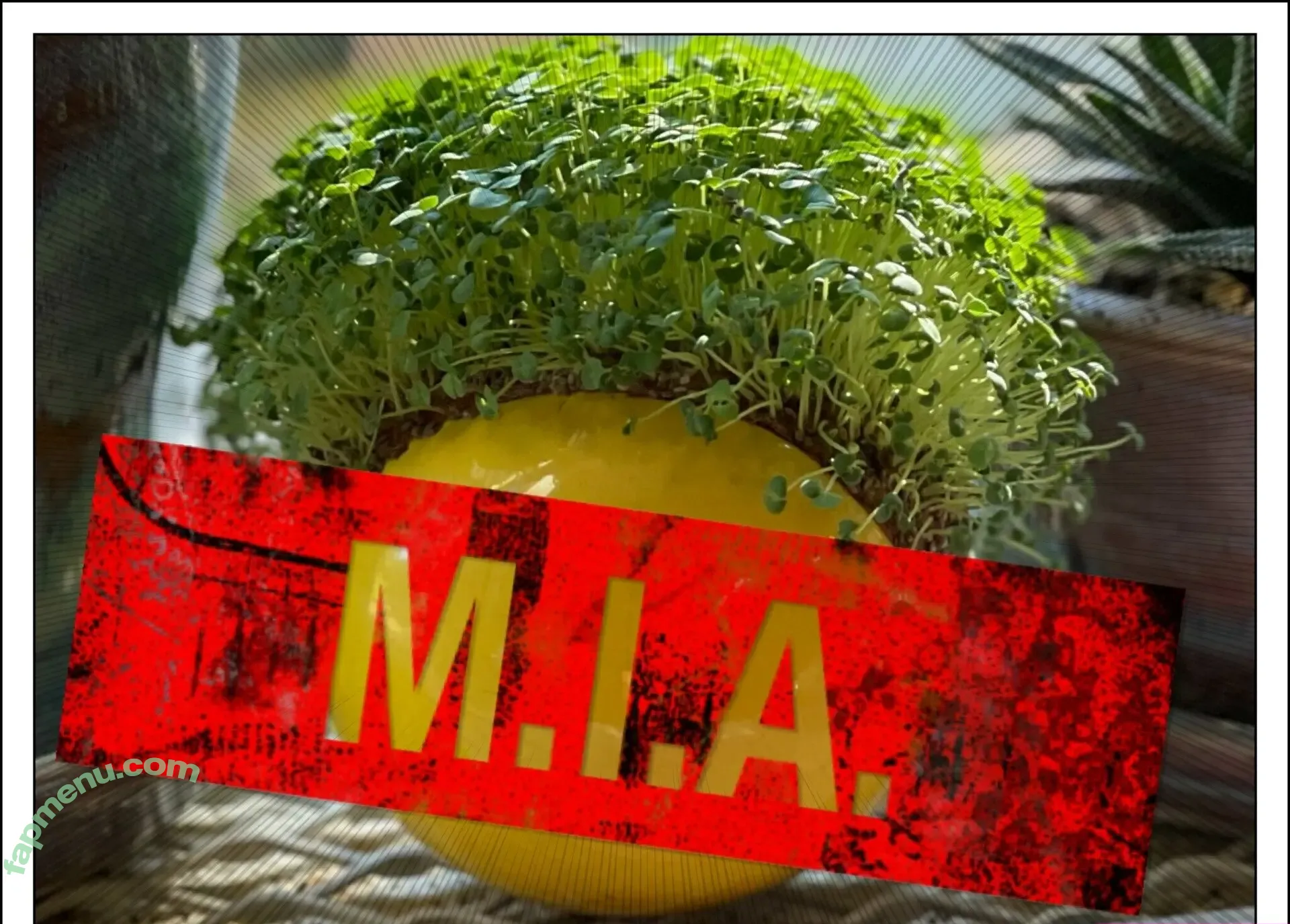 a_couple_of_individuals nude photo #0027 (acoupleofindividuals)