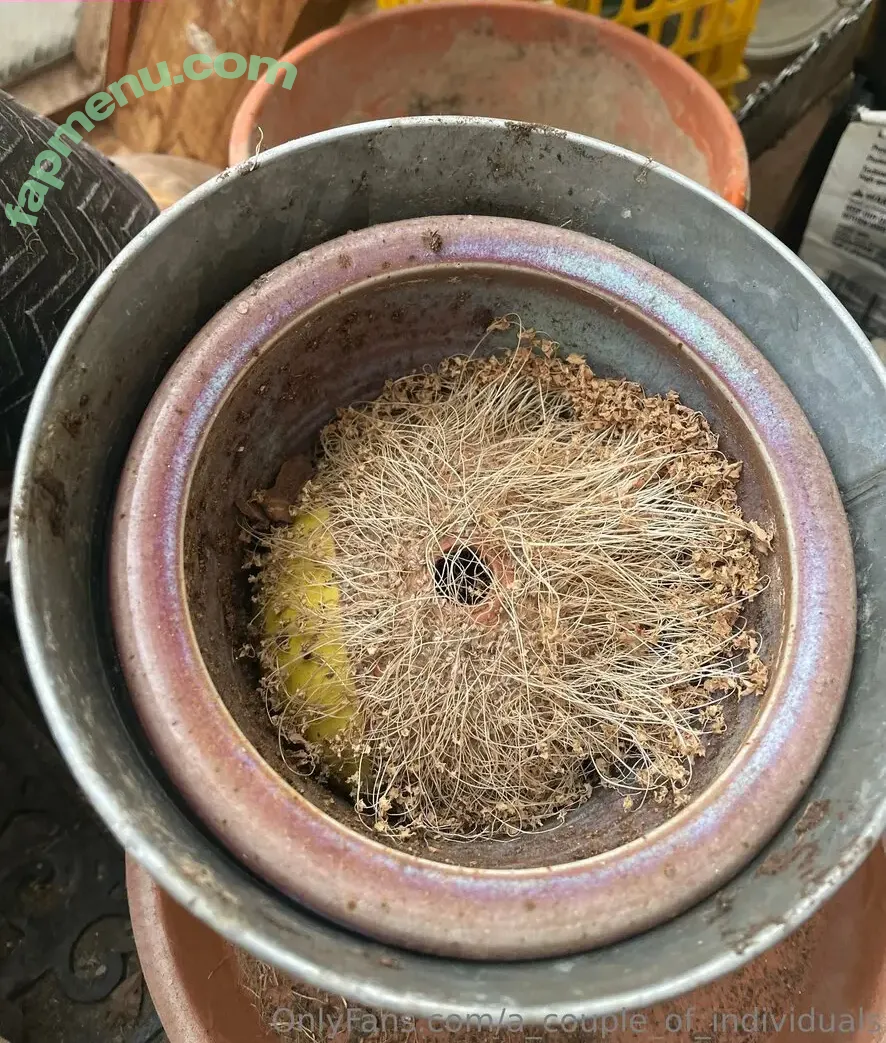 a_couple_of_individuals nude photo #0038 (acoupleofindividuals)