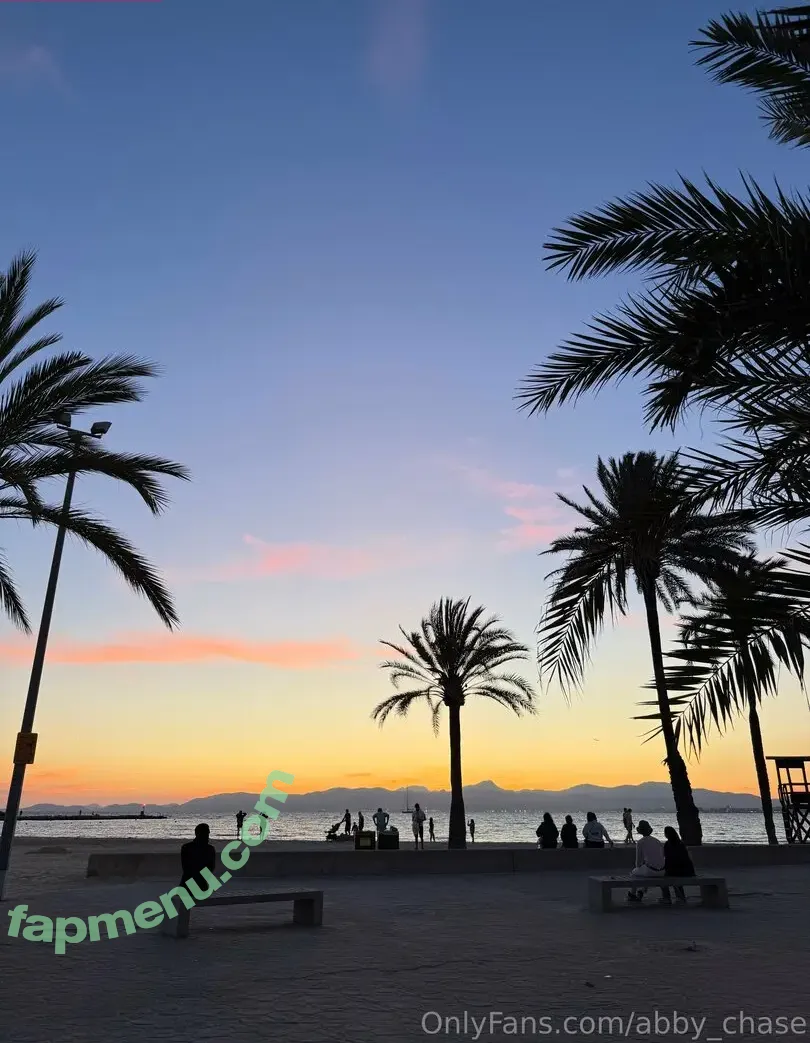 abby_chase nude photo #0101 (abby_chase_)