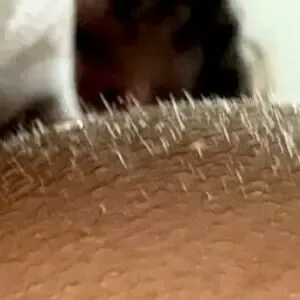 abbyy.thompson / abi2009 nude photo #0013