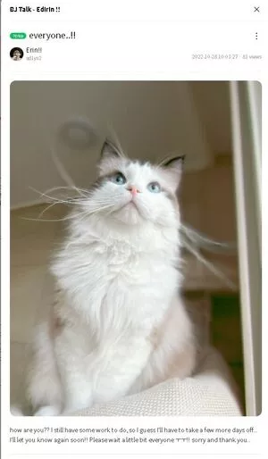 addielyn / ad1yn2 Patreon / ad1yn2ii nude photo #1231