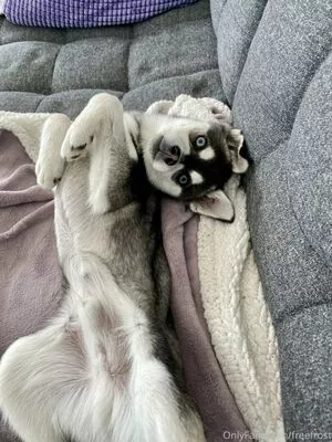 Adeline Frost / AdelineFrostxx / adelinefrost nude photo #0380