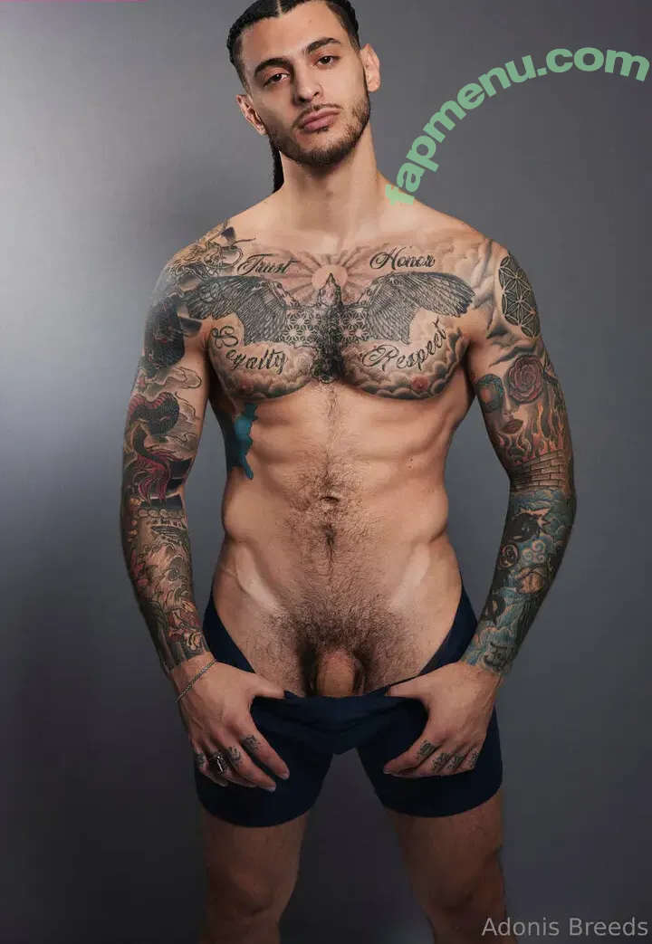 adonisbreeds nude photo #0020 (adonisbreeds)