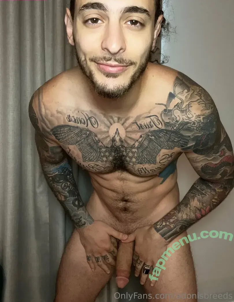 adonisbreeds nude photo #0033 (adonisbreeds)