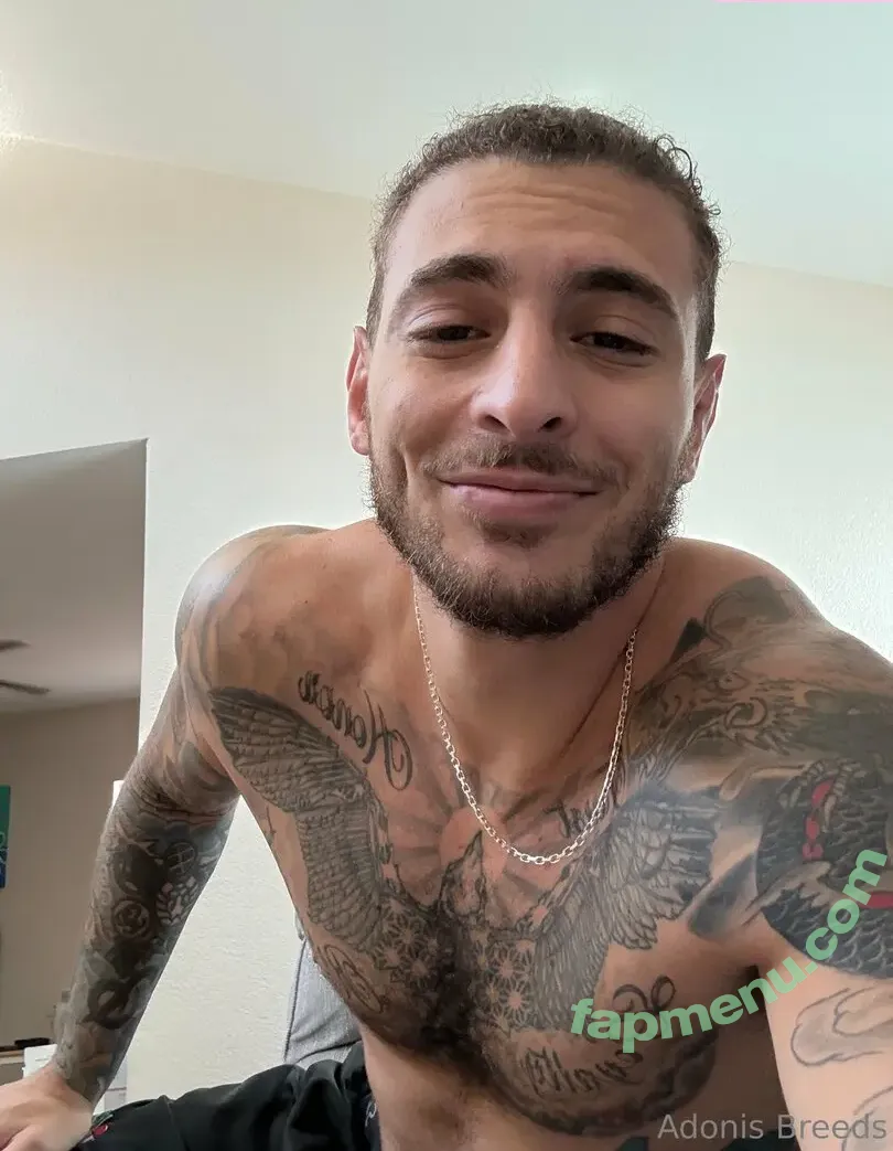 adonisbreeds nude photo #0035 (adonisbreeds)