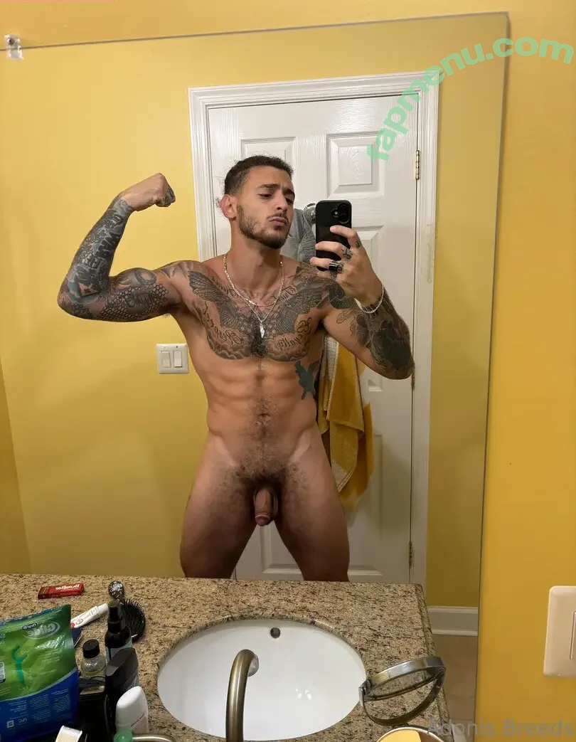 adonisbreeds nude photo #0042 (adonisbreeds)