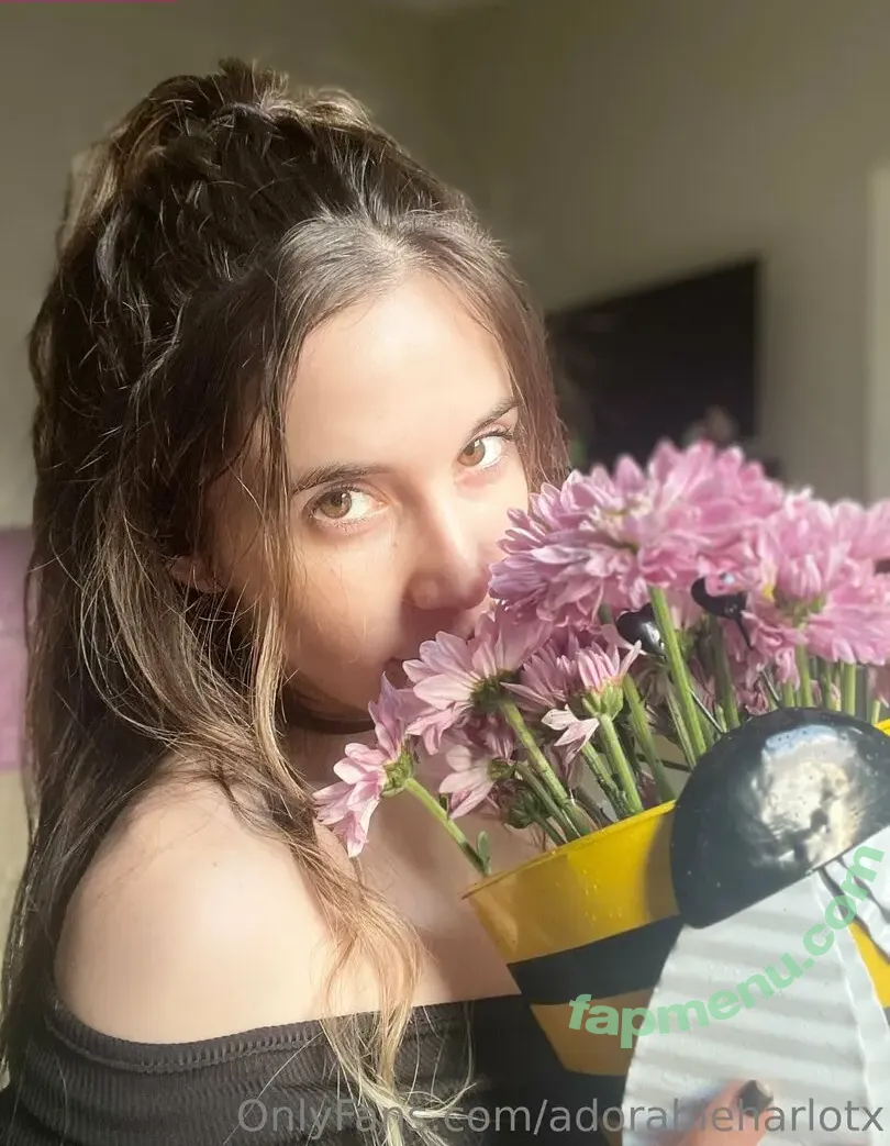 adorableharlotx nude photo #0020 (adorableharlotx)