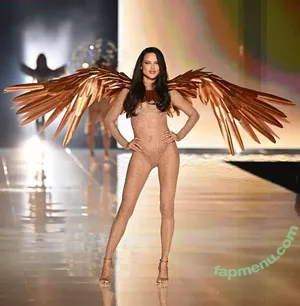 Adriana Lima / Aadryvieira_ / AdrianaLima / adrivainilla nude photo #1395