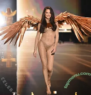 Adriana Lima / AdrianaLima / adrivainilla / iamadrianalima nude photo #1410