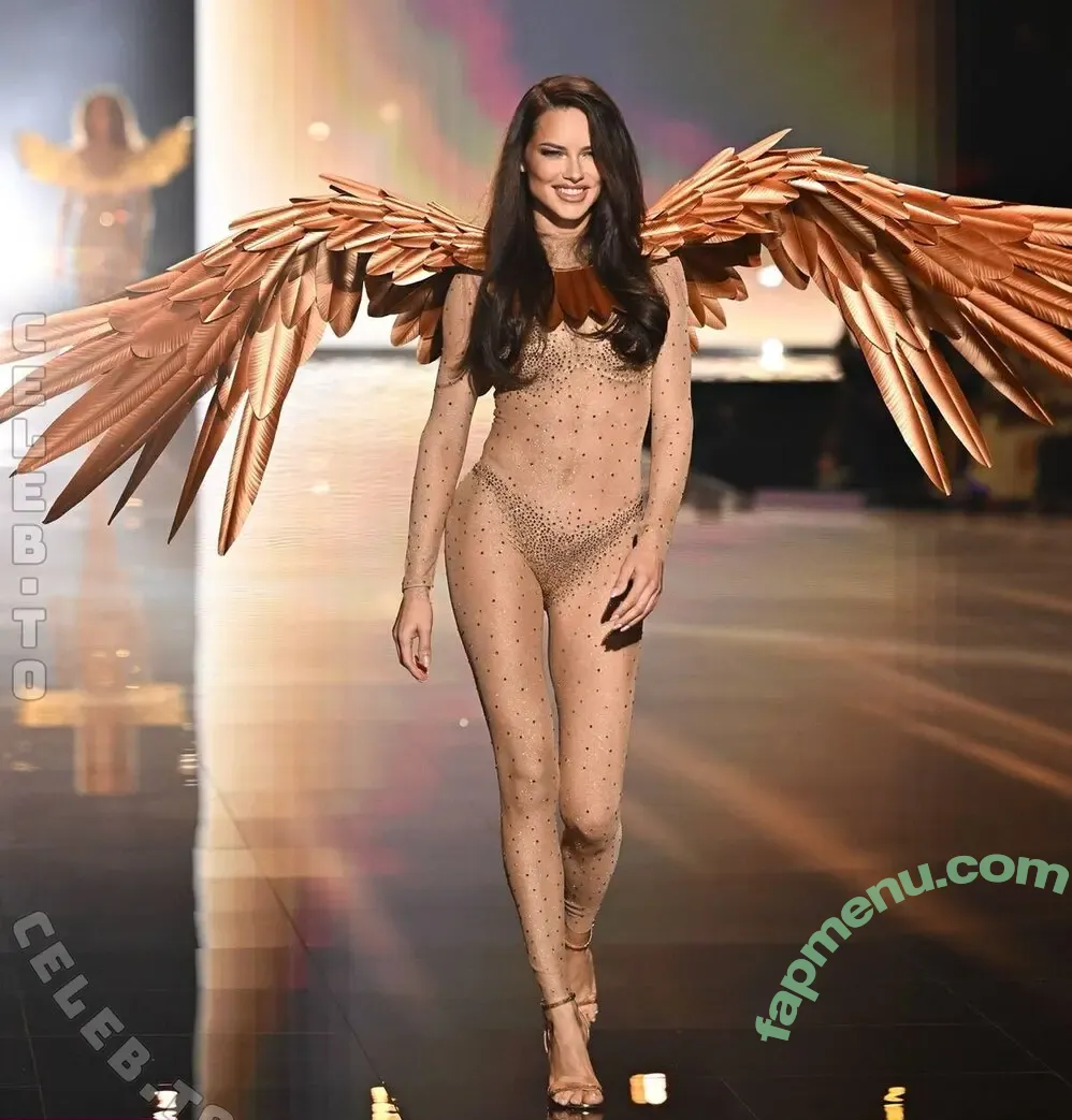 Adriana Lima nude photo #1410 (AdrianaLima / adrivainilla / iamadrianalima)