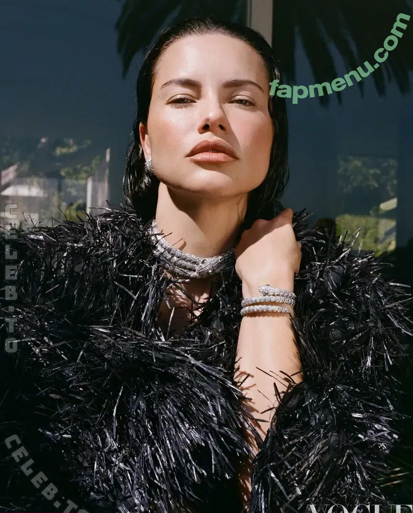 Adriana Lima nude photo #1413 (AdrianaLima / adrivainilla / iamadrianalima)