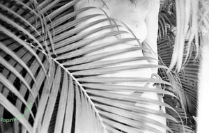 adventuresofawildthing nude photo #0093