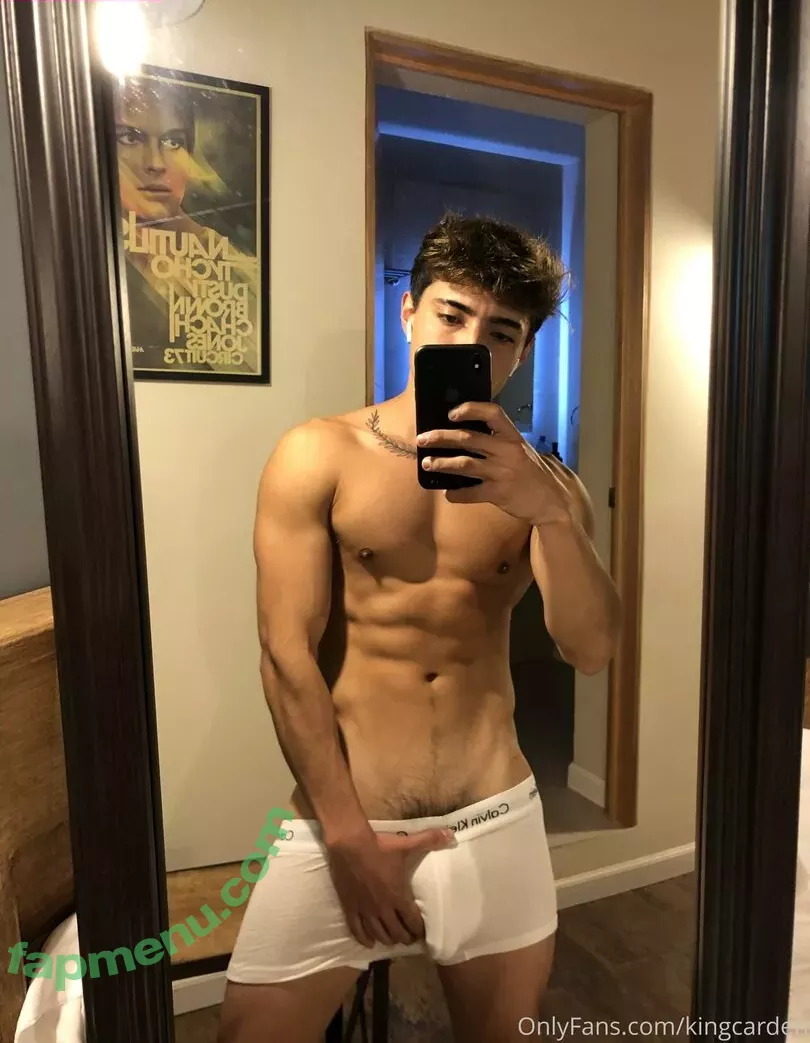 aedanvip nude photo #0001 (aedan_d23)