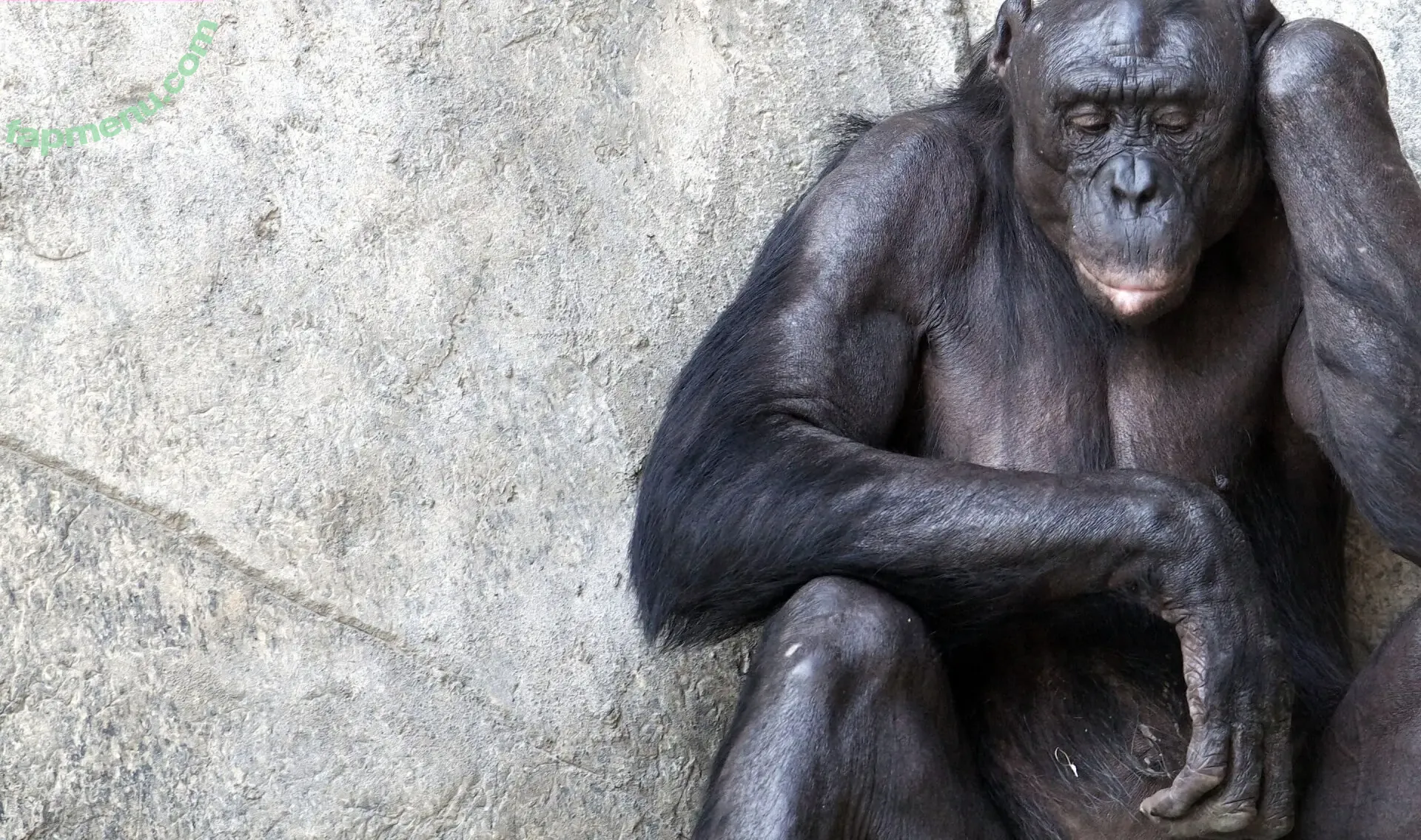 Aery Tiefling nude photo #1935 (AeryKorvair / AeryTiefling / aerytieflingcosplay)