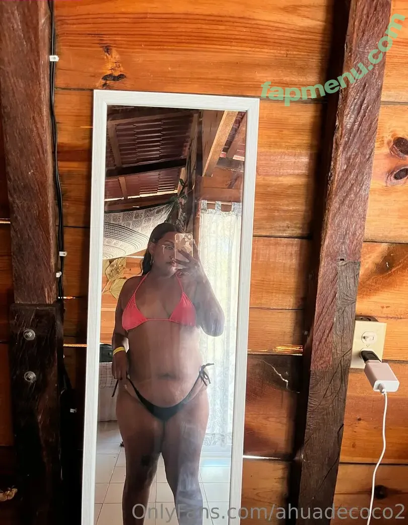 ahuadecoco2 nude photo #0039 (ahuadecoco2)