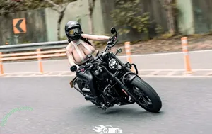 ai_fei9961 / Ai Fei / aifei.9961 / aifei4 / 艾妃 小獅子 nude photo #0187