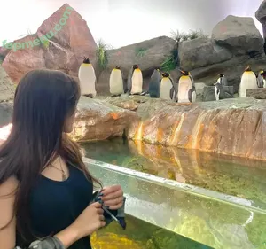 Aimie Valencia / aimie_valencia nude photo #0027