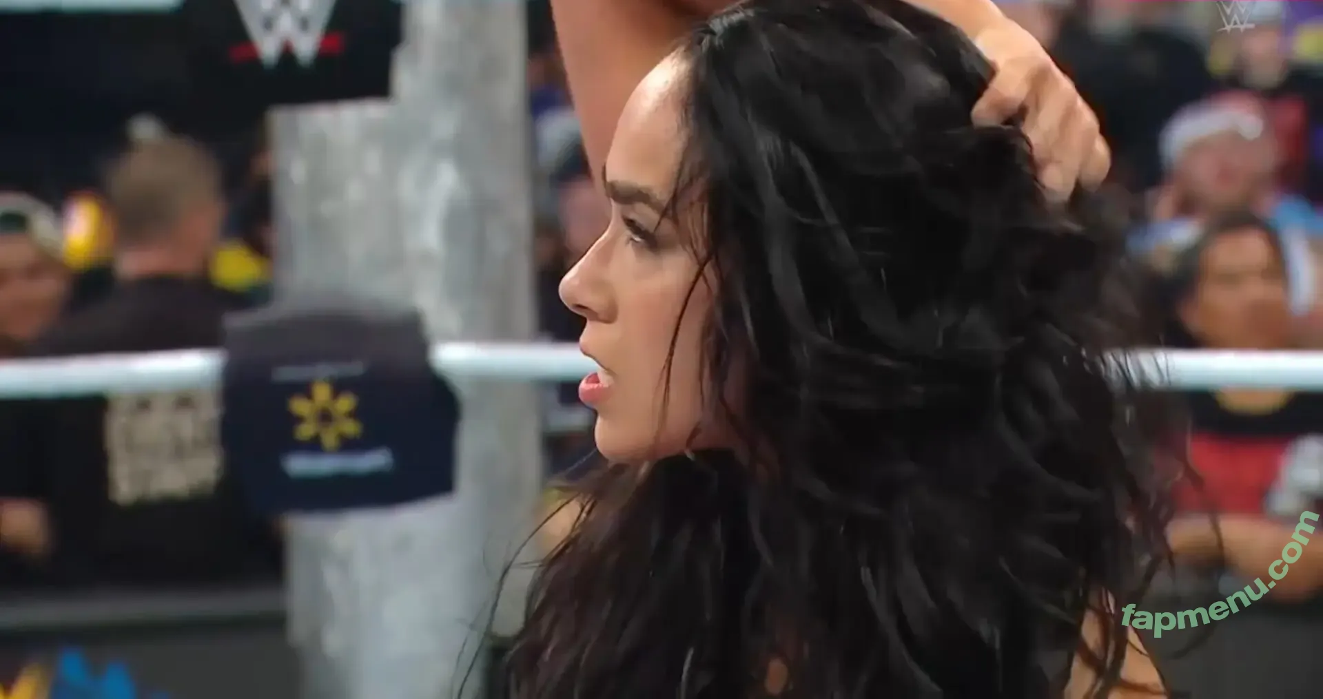 Aj Lee nude photo #0056 (AJ Mendez / theajmendez)