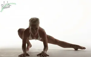 Alecia Beth Moore / Pink / The Singer nude photo #0032