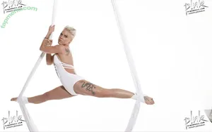 Alecia Beth Moore / Pink / The Singer nude photo #0035