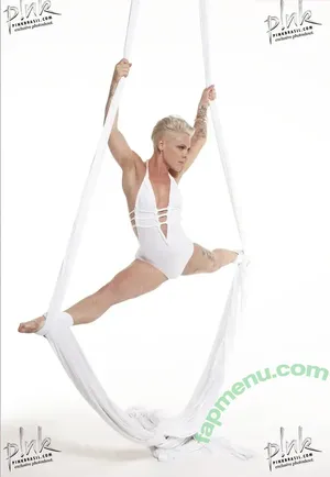 Alecia Beth Moore / Pink / The Singer nude photo #0037