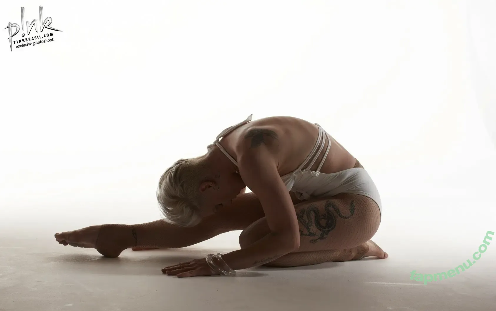 Alecia Beth Moore nude photo #0029 (Pink / The Singer)