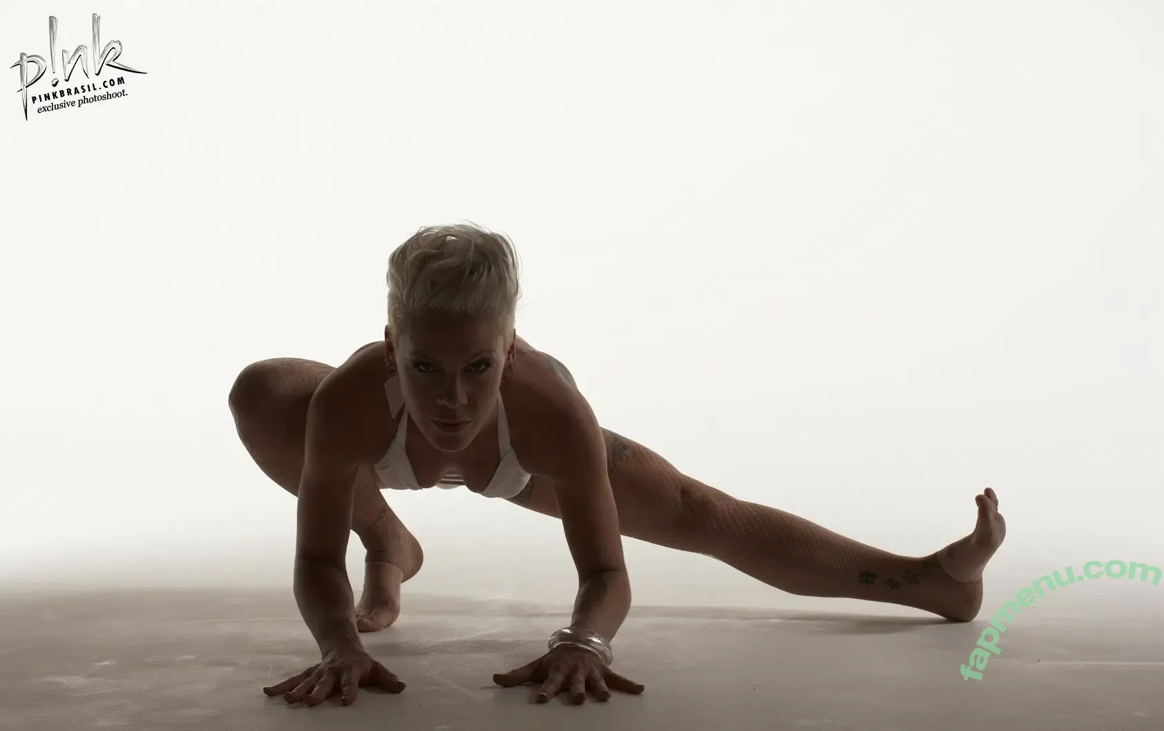 Alecia Beth Moore nude photo #0031 (Pink / The Singer)