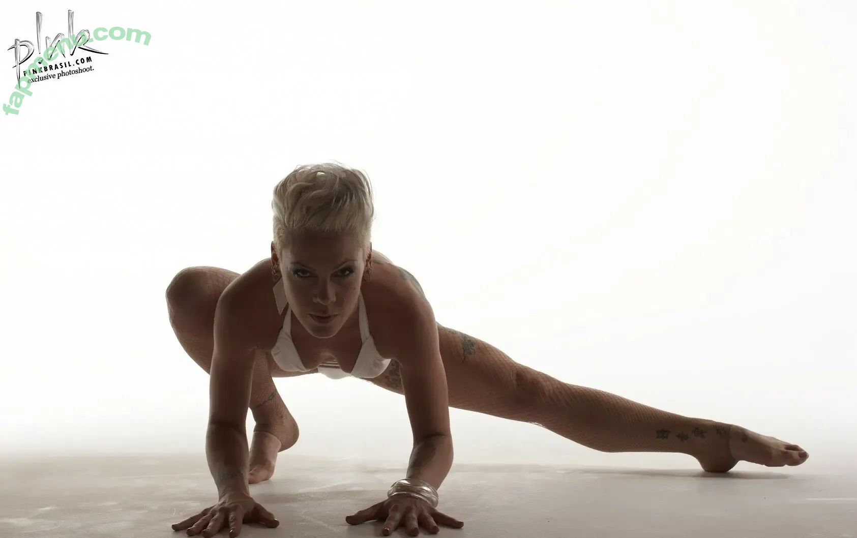 Alecia Beth Moore nude photo #0032 (Pink / The Singer)