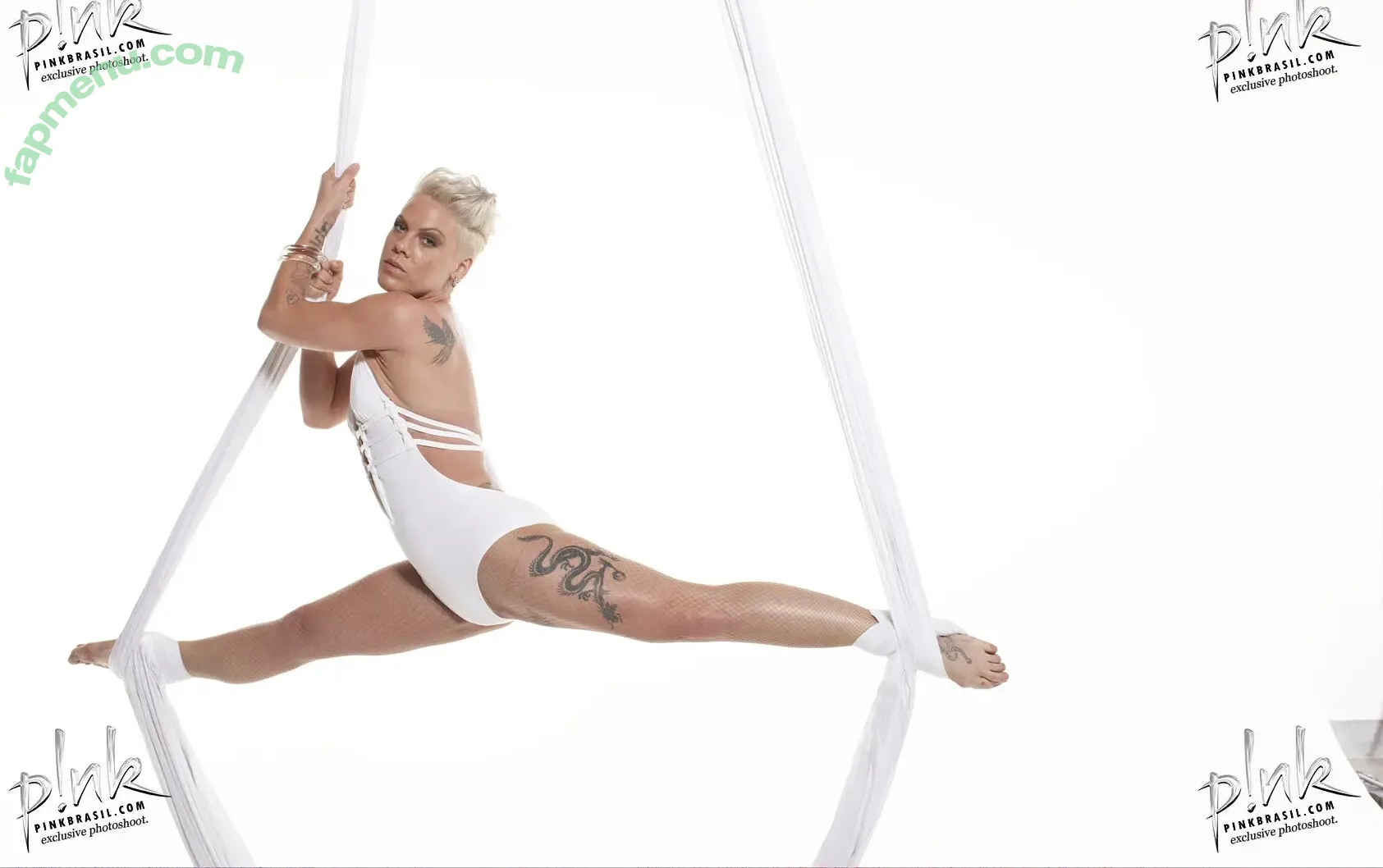 Alecia Beth Moore nude photo #0035 (Pink / The Singer)