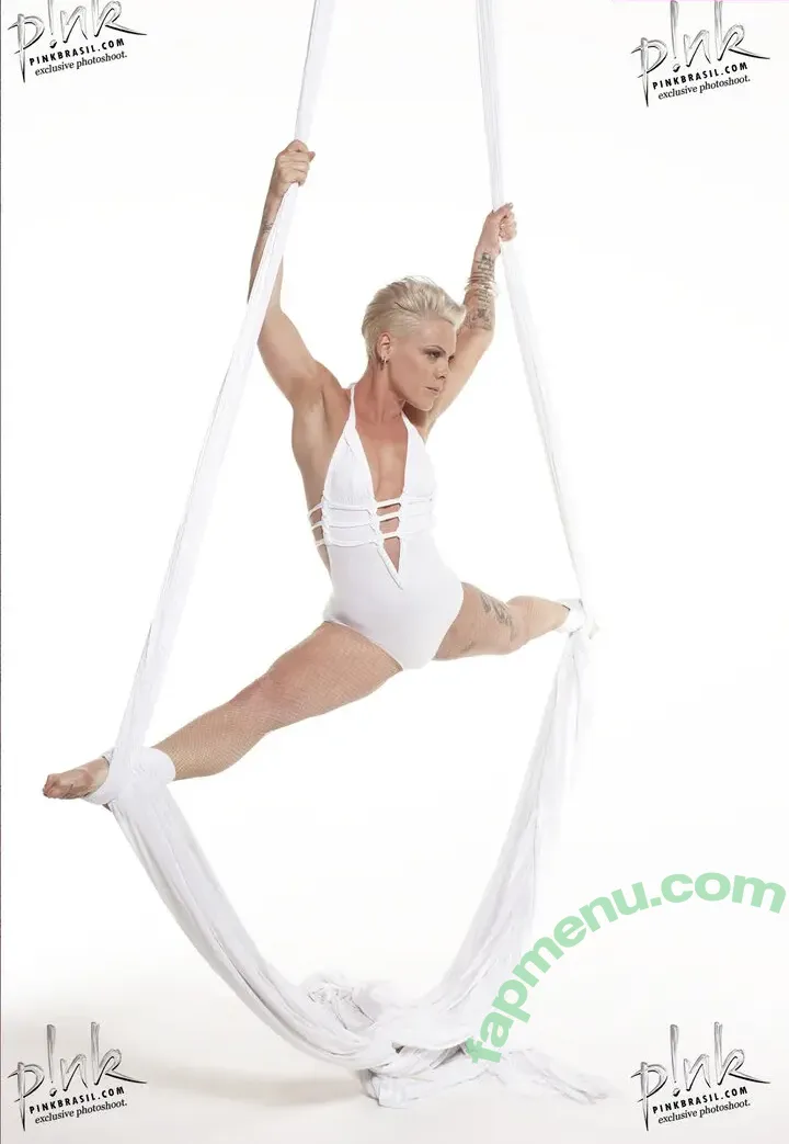 Alecia Beth Moore nude photo #0037 (Pink / The Singer)