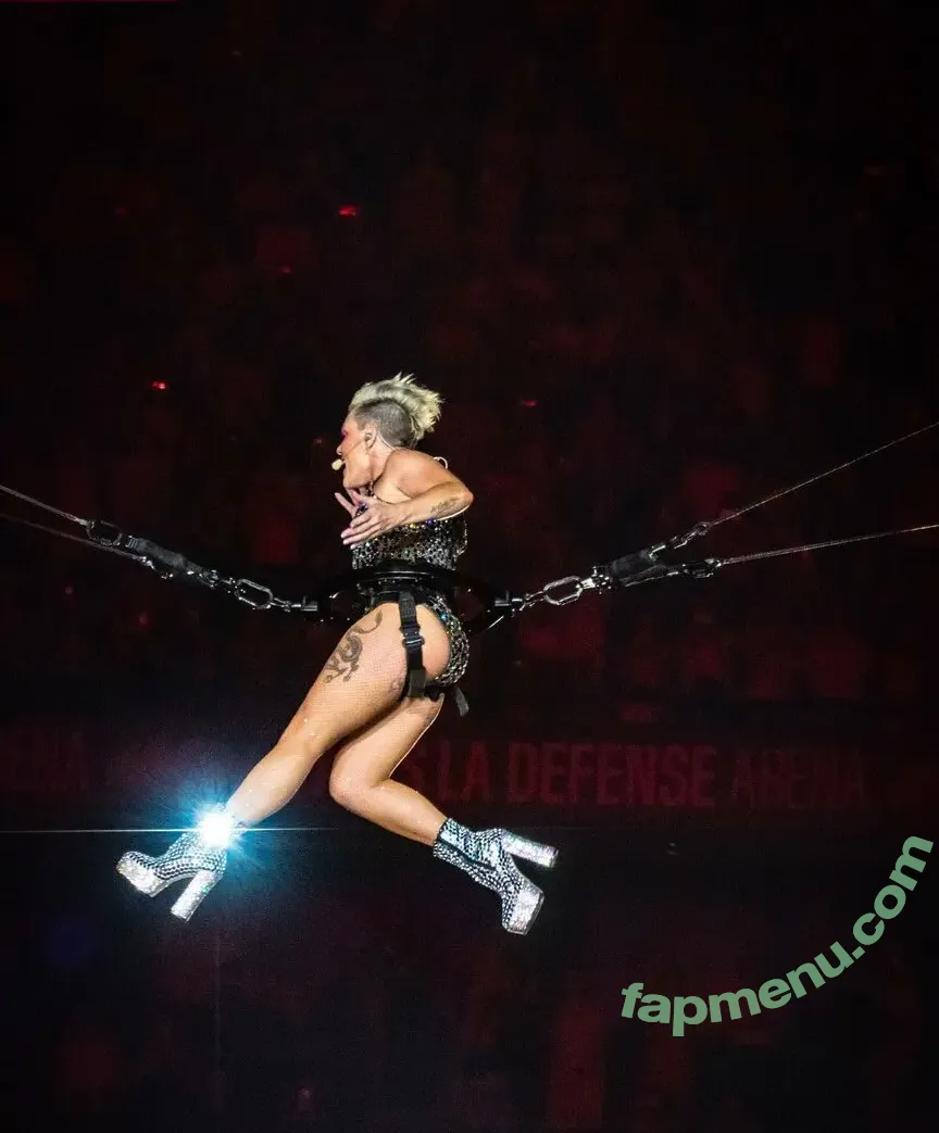 Alecia Beth Moore nude photo #0056 (Pink / The Singer)