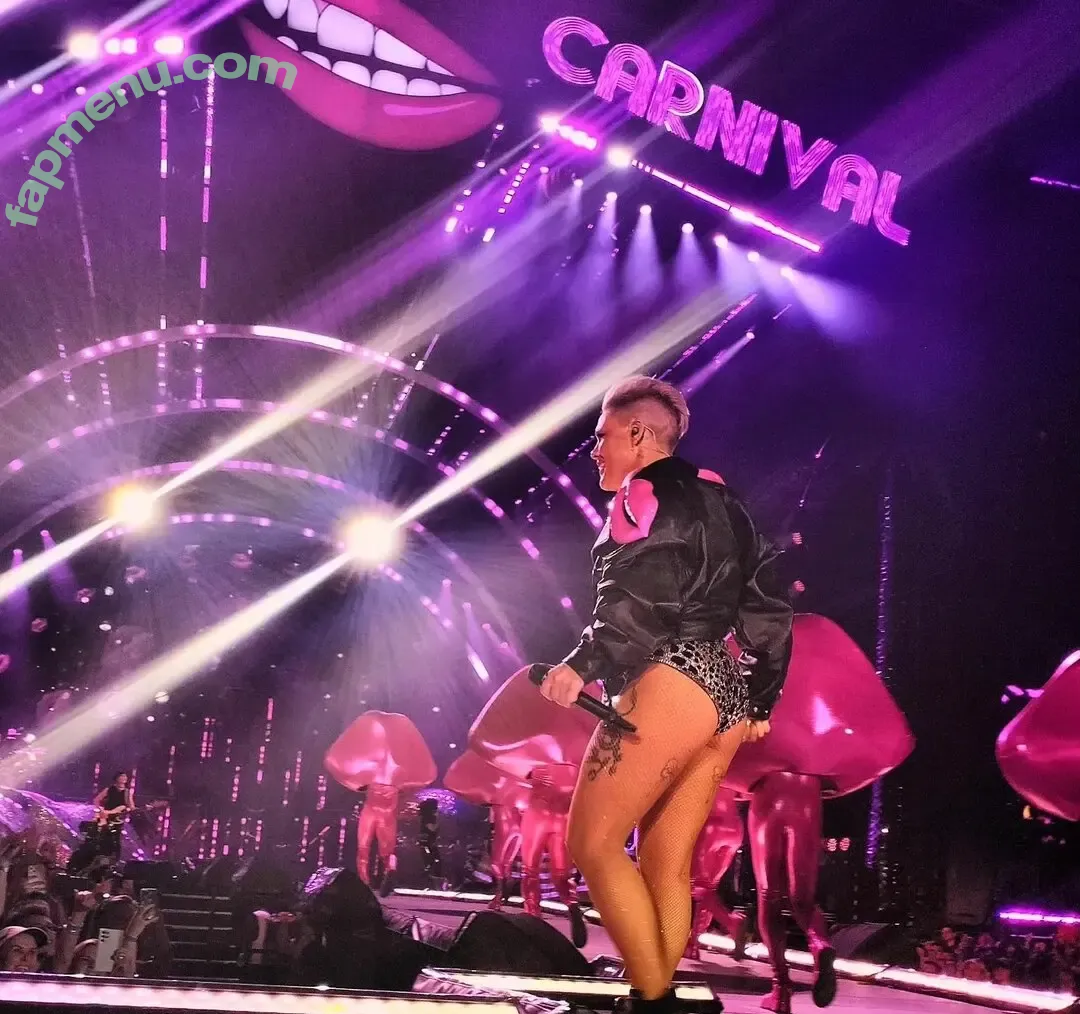 Alecia Beth Moore nude photo #0057 (Pink / The Singer)